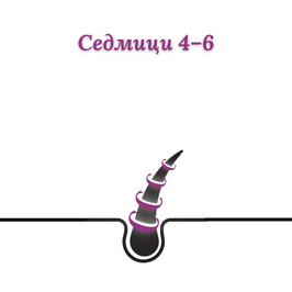 очаквани резултати след 4-6 седмици LOV-LY HAIR GROWTH растеж на косата