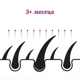 очаквани резултати след 3+ месеца LOV-LY HAIR GROWTH растеж на косата