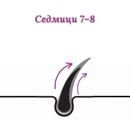 очаквани резултати след 7-8 седмици LOV-LY HAIR GROWTH растеж на косата