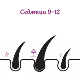 очаквани резултати след 9-12 седмици LOV-LY HAIR GROWTH растеж на косата
