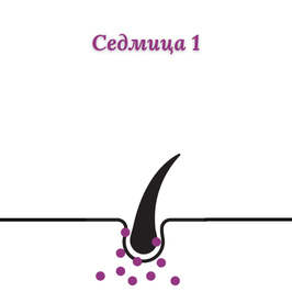 очаквани резултати след 1 седмица LOV-LY HAIR GROWTH растеж на косата