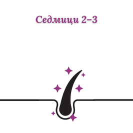 очаквани резултати след 2-3 седмици LOV-LY HAIR GROWTH растеж на косата